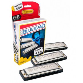 Hohner ArmÃ³nicas DiatÃ³nicas Do, Sol, La Mayor M559XPS Blues Band